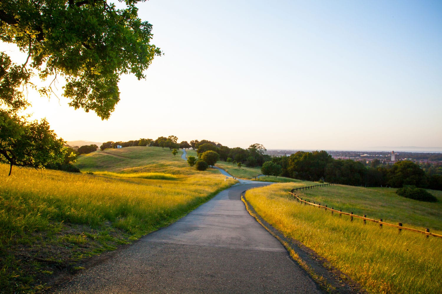 A single lane country road surrounded by grassland